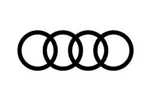 Audi partner - RoarFun.com portfolio of customers