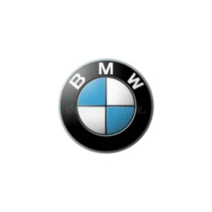 BMW partner - RoarFun.com portfolio of customers