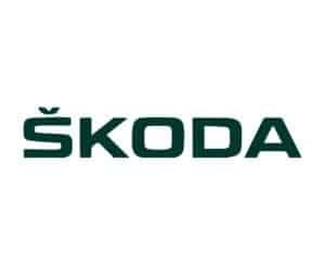 Skoda partner - RoarFun.com portfolio of customers